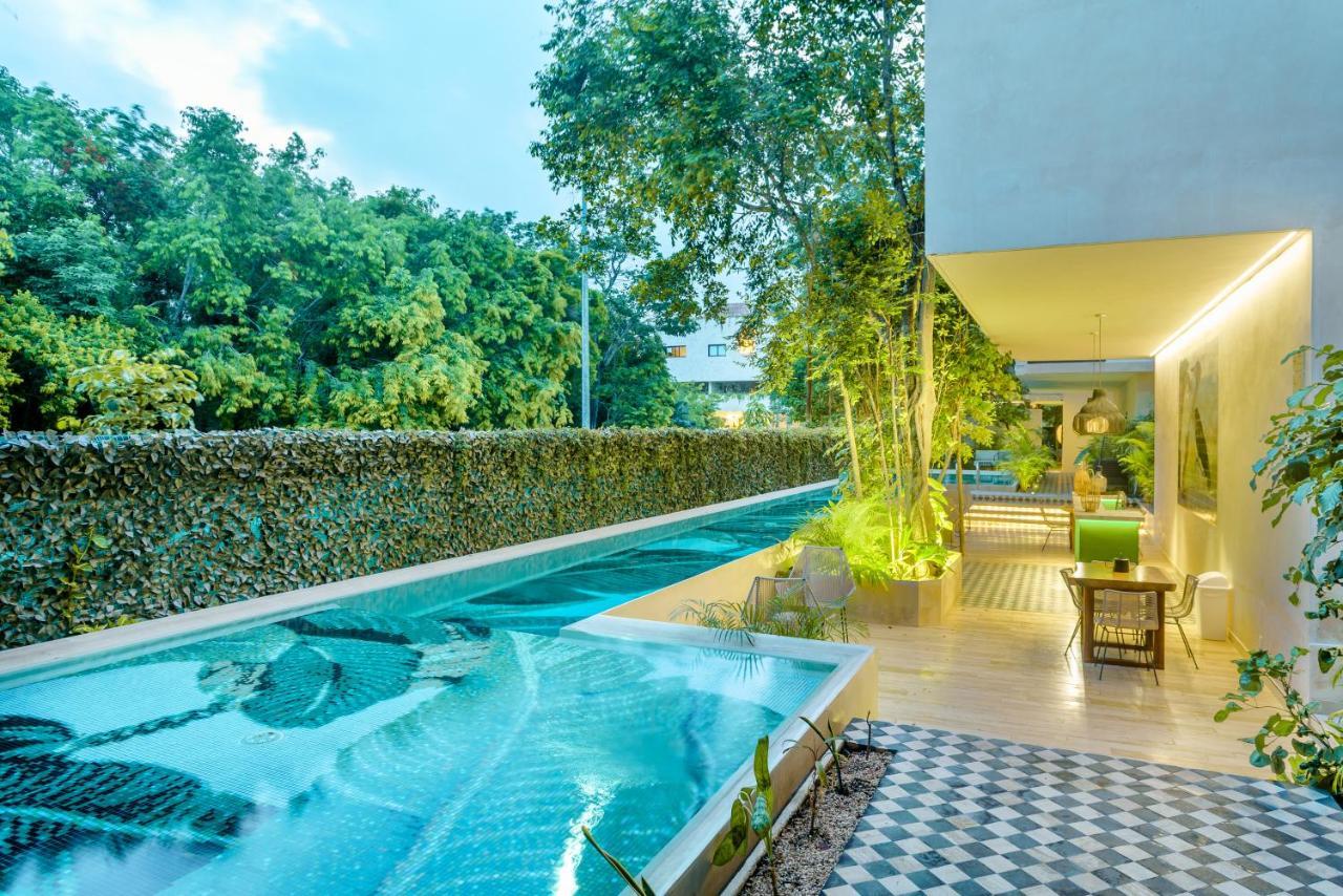 205 Perfect Location 3 Bedrooms Apartment 图卢姆 外观 照片